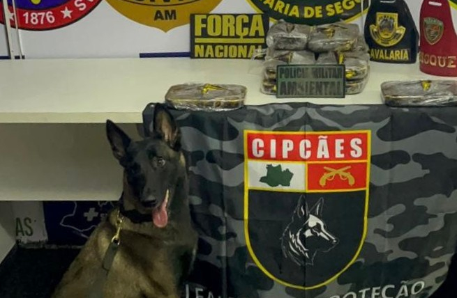 Cadela policial encontra 13 quilos de cocaína escondido em armário de embarcação no AM