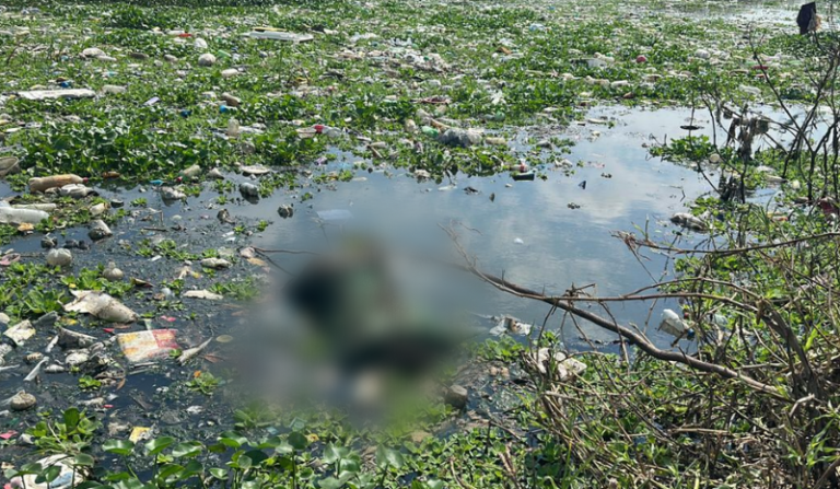 Corpo é encontrado boiando em igarapé na zona sul de Manaus