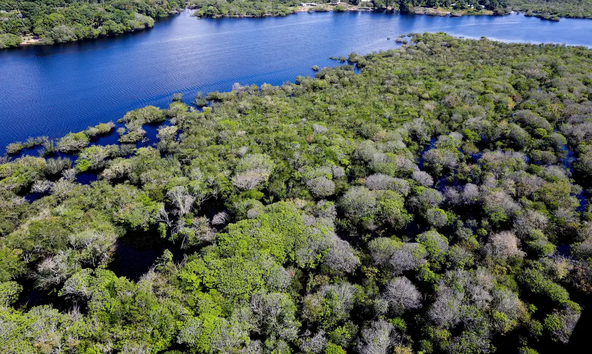 Certificação inédita propõe padrão amazônico de sustentabilidade empresarial