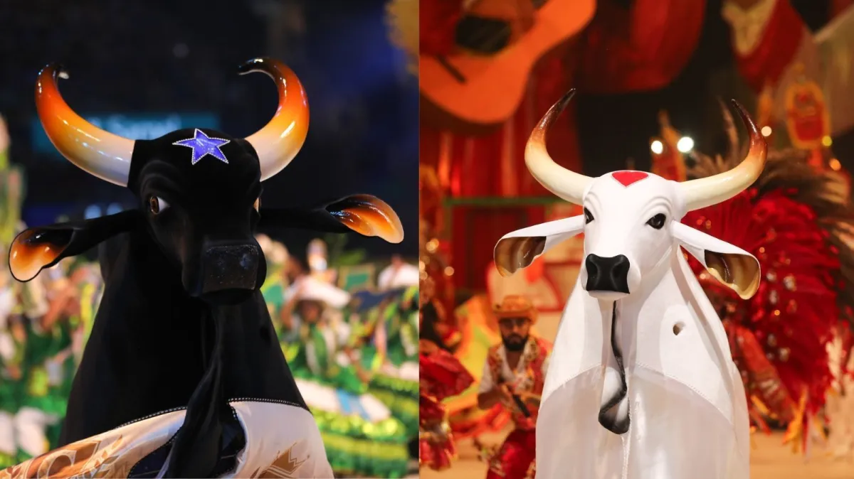 Caprichoso e Garantido definem jurados do festival de Parintins