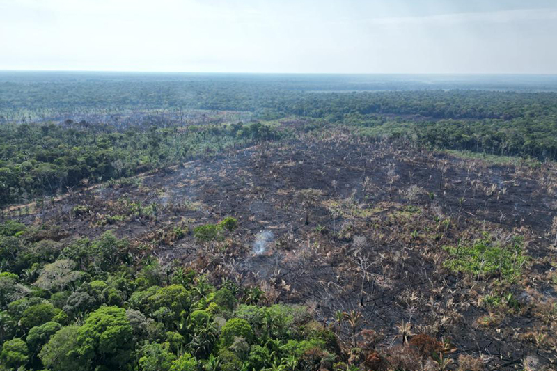 Desmatamento e focos de calor caem no Amazonas, aponta Ipaam