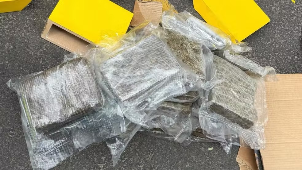 Vídeo: Denarc apreende 56 kg de skunk escondidos em nichos de MDF