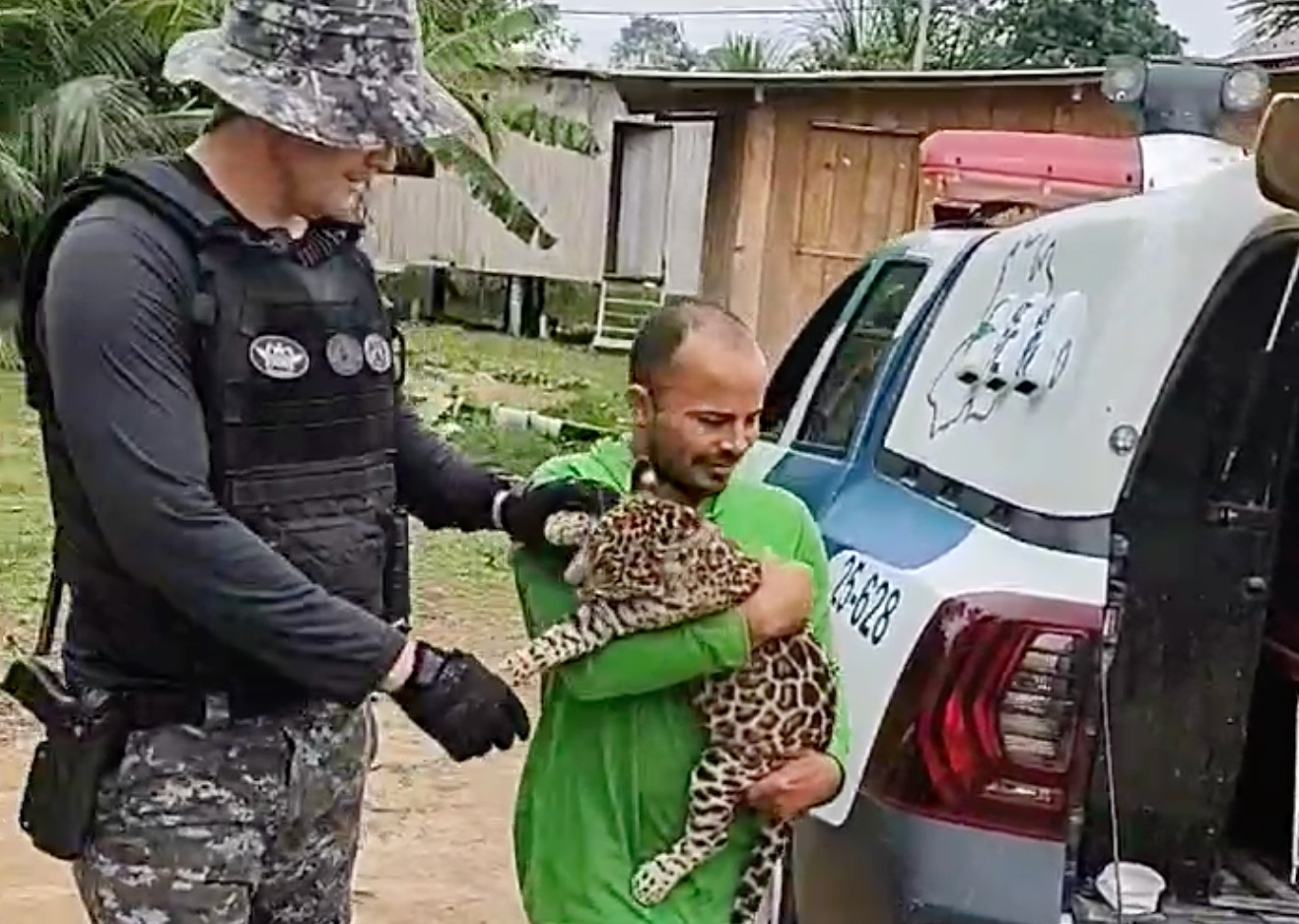 Filhote de onça pintada é resgatado em Coari