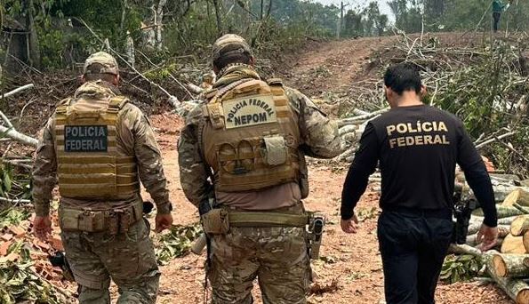 PF e PRF prendem em flagrante homem por transporte de madeira ilegal no AM