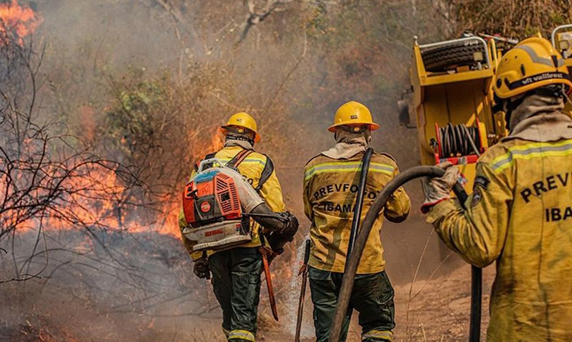MPF pede reforço urgente no combate a queimadas e desmatamento no Amazonas