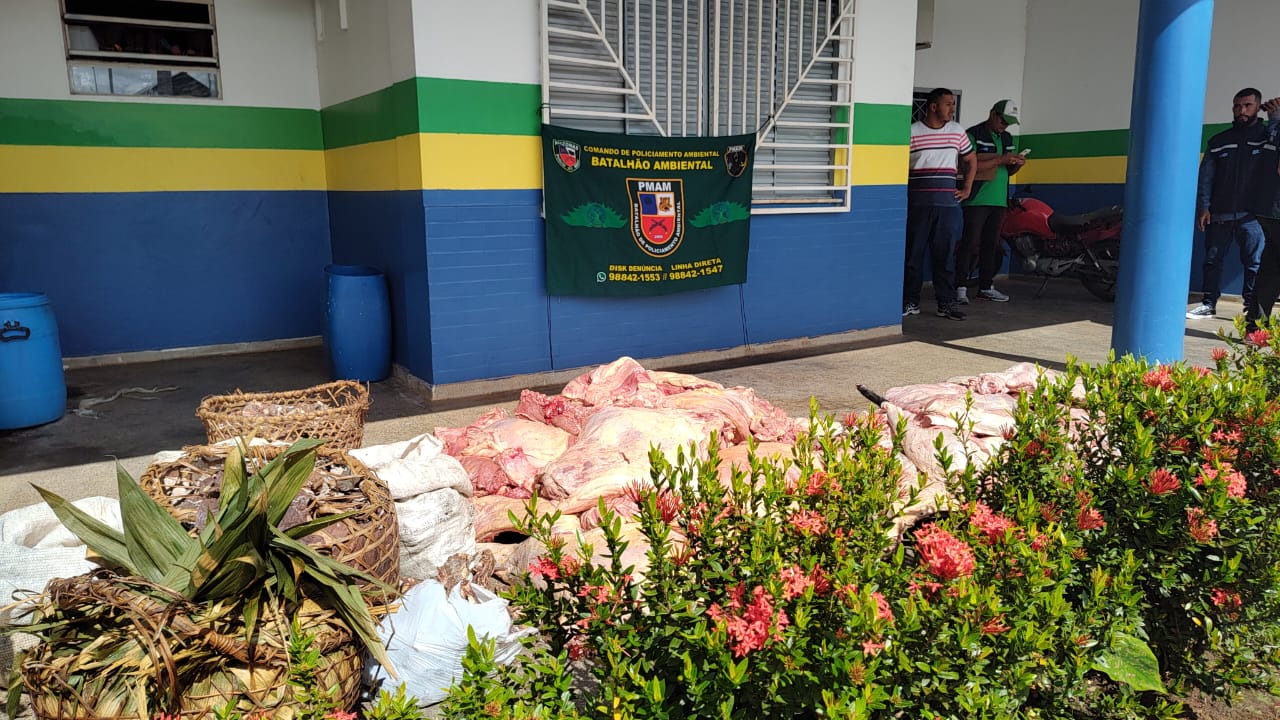 Batalhão Ambiental apreende  781 kg de carne de animais silvestre no AM