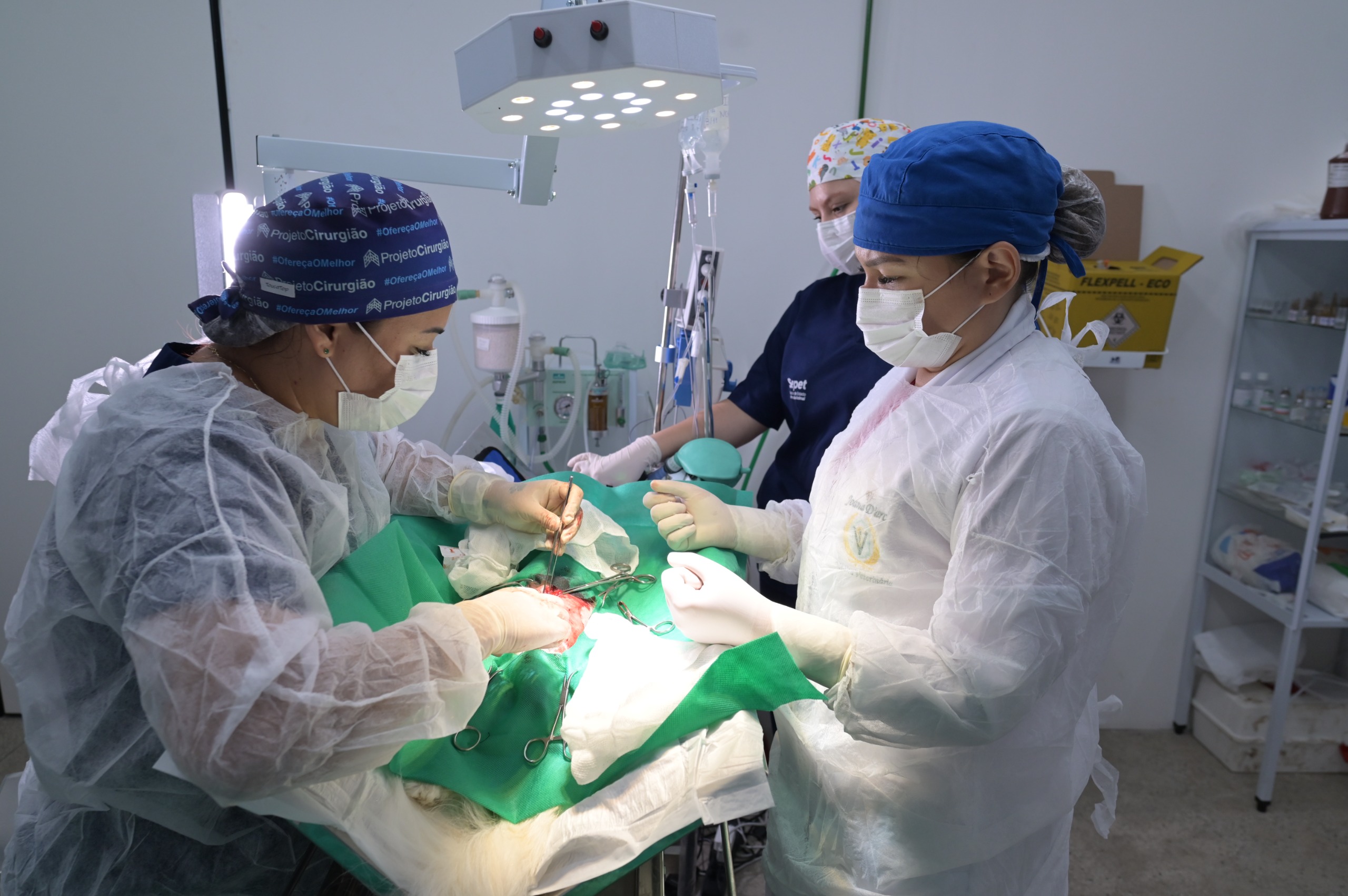 Em dois meses, Hospital Público Veterinário já realizou mais de 70 mil procedimentos