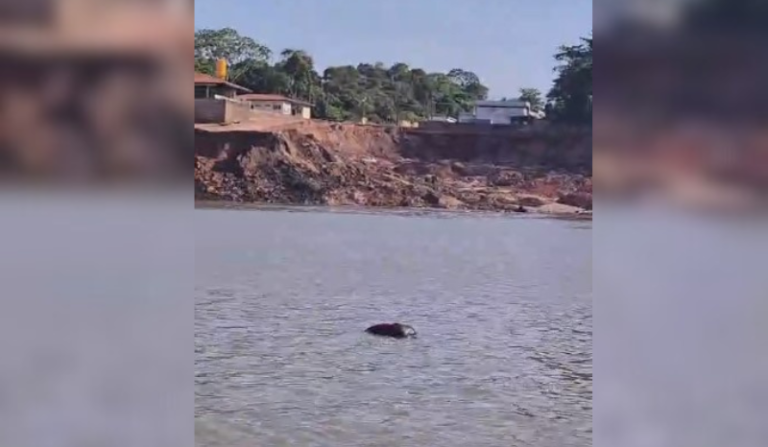Vídeo: corpo de homem desaparecido após deslizamento de terra em Manacapuru é encontrado