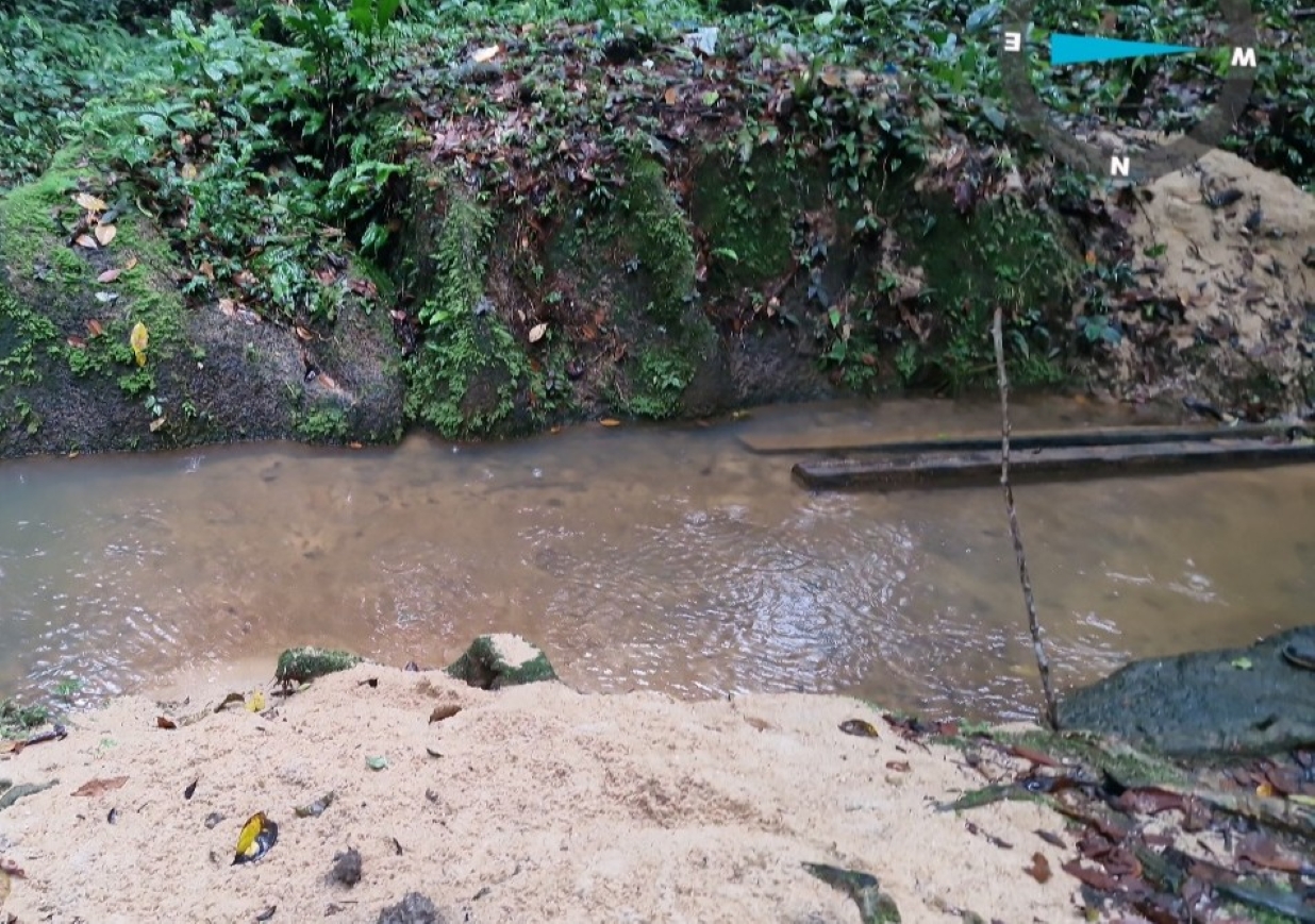 Empresa é multada em mais de R$ 100 mil por danos ambientais no interior do AM