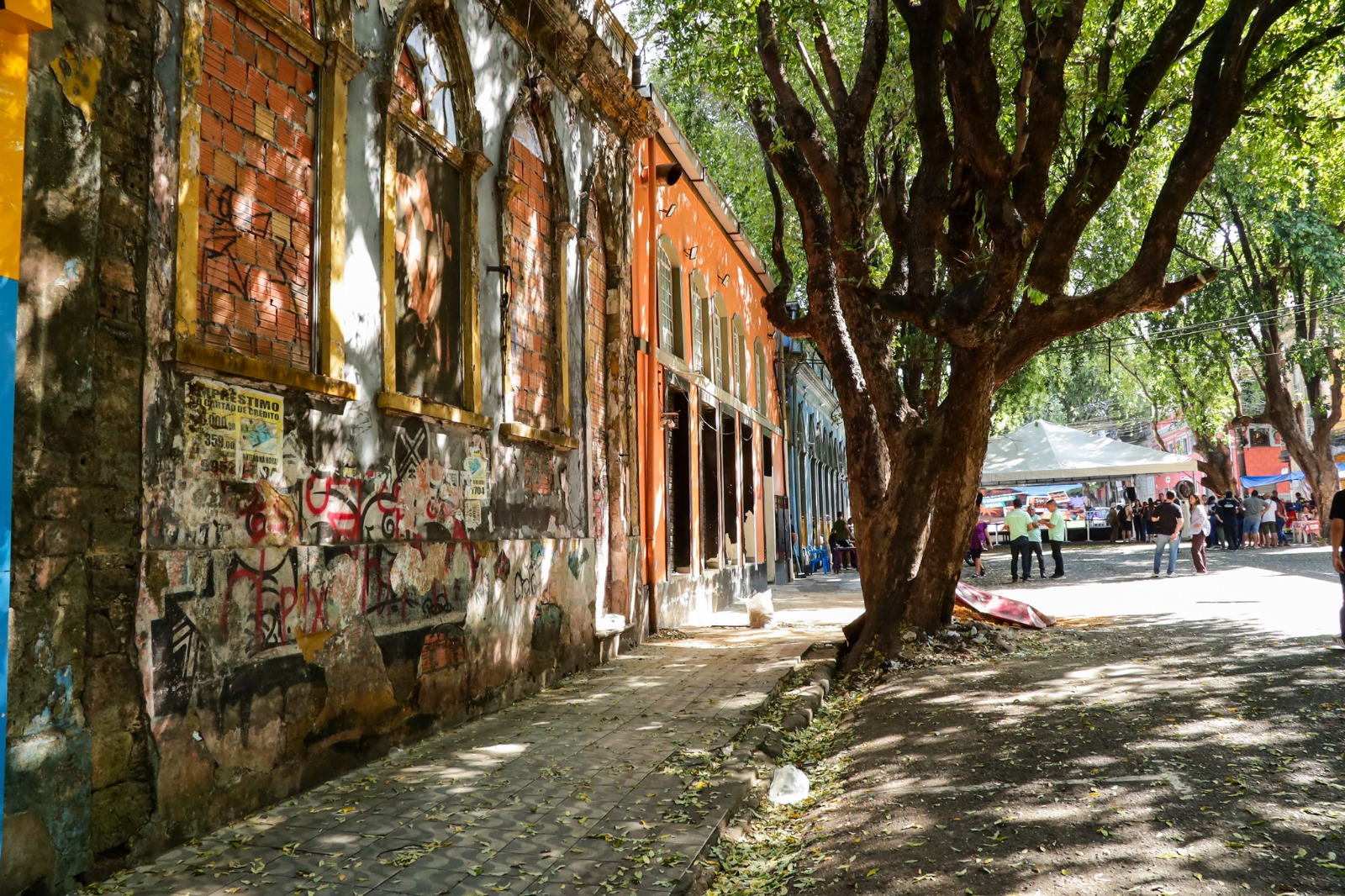 Rua Gastronômica vai preservar árvores da Ferreira Pena