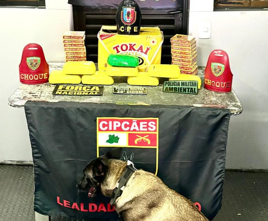 PM apreende R$ 900 mil em drogas durante operação em Coari