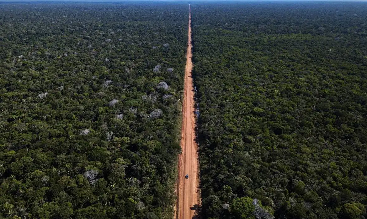 Saiba qual é o estágio da BR-319 e o que os senadores foram fazer na rodovia