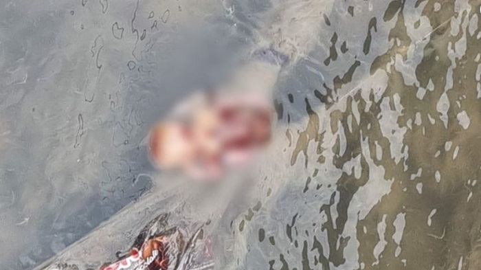 Vídeo: Feto é achado em igarapé do Alvorada e choca moradores