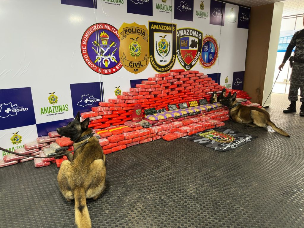 Amazonas registra aumento de 51,2% na apreensão de drogas em 2024