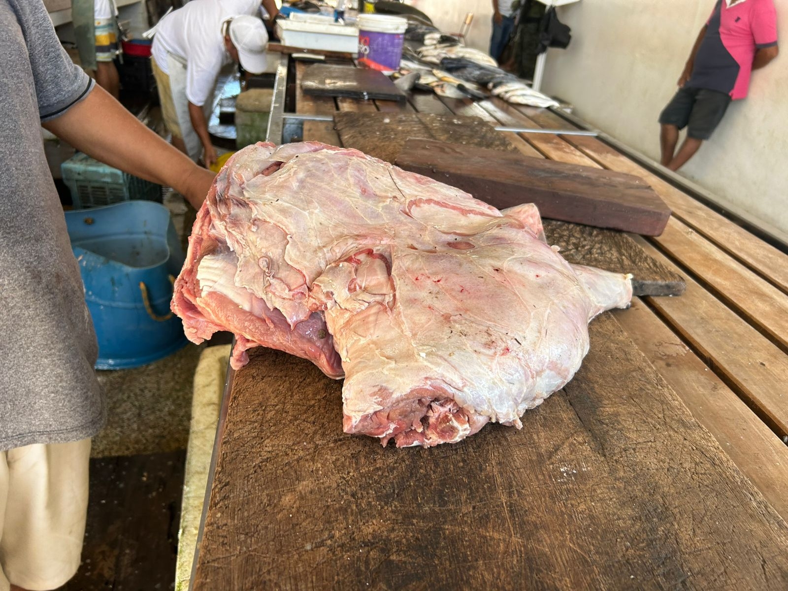 Carne de capivara comercializada ilegalmente é apreendida em feira no AM