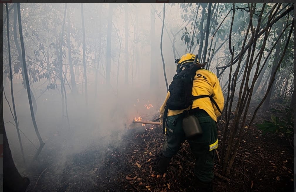 PF investiga possíveis incêndios criminosos no Amazonas