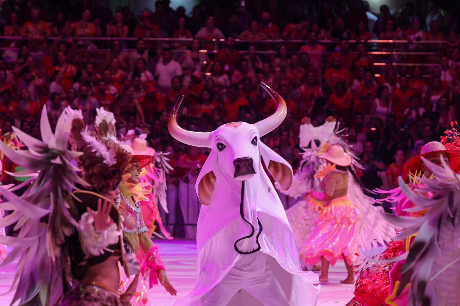 Festival de Parintins 2026: Garantido encerra primeira noite com espetáculo sobre união dos povos, crenças e tradições