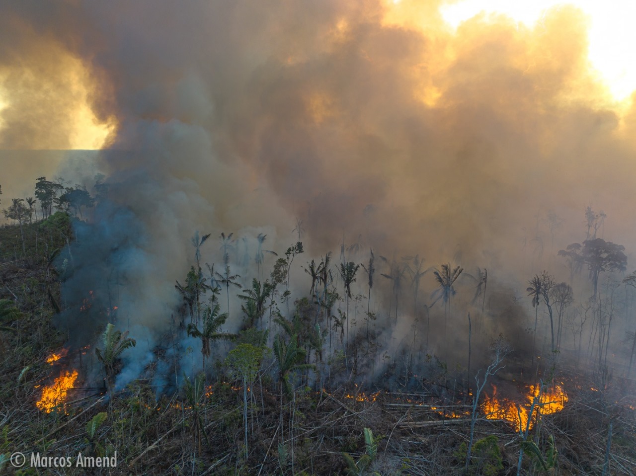 Municípios da BR-319 concentram 40% dos focos de calor durante temporada do fogo no AM