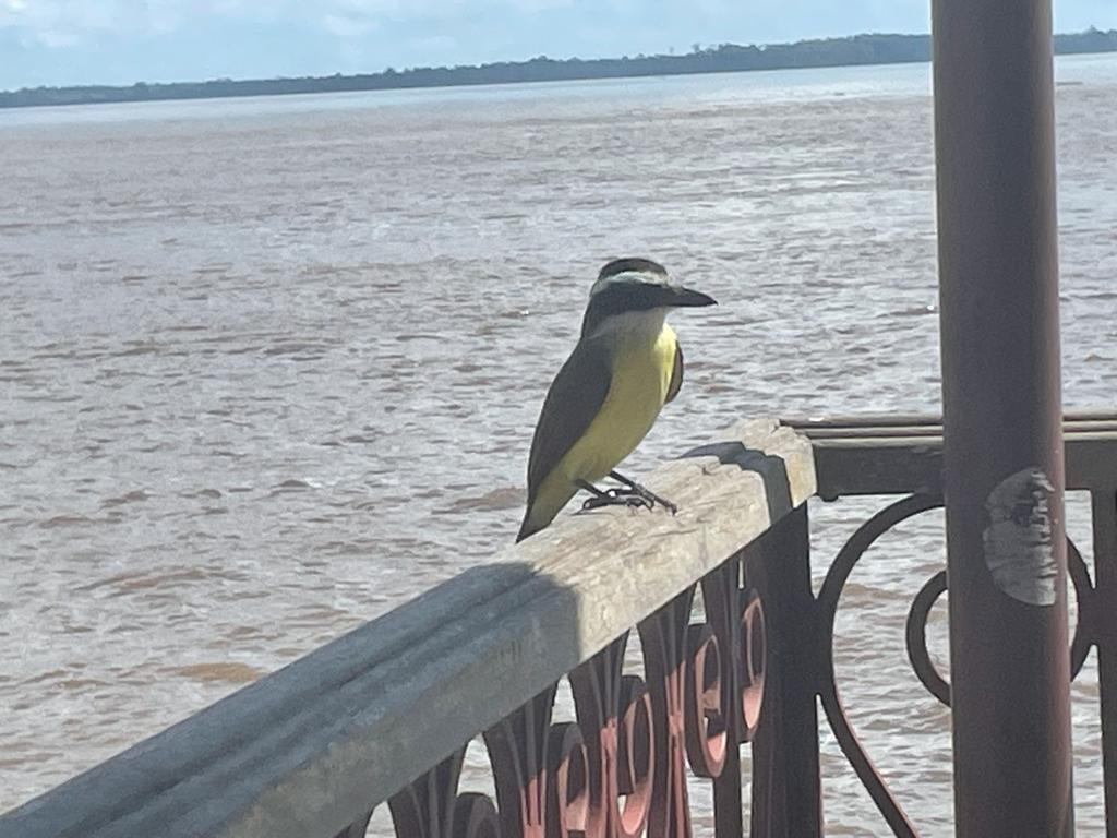 A vida volta ao normal em Parintins