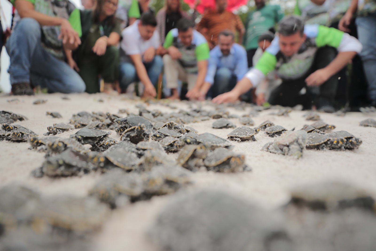 ‘Guardiões da Floresta’ beneficiará mais de 6 mil famílias de unidades de conservação do AM