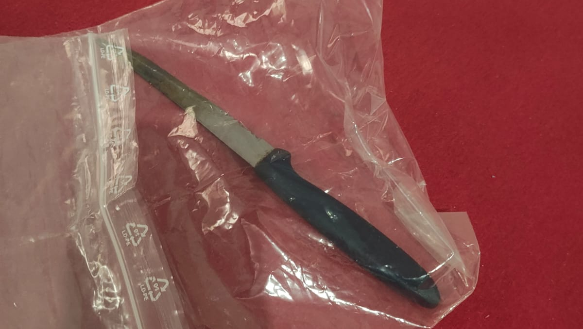 Filho é preso suspeito de matar a própria mãe de 83 anos em Manaus