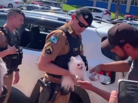 Cachorro é salvo pela PM após ficar trancado em porta-malas em Toledo