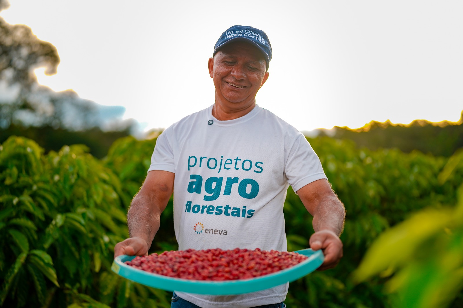 Com apoio da Eneva, Projeto Agroflorestal entrega primeira colheita de café robusta em Silves