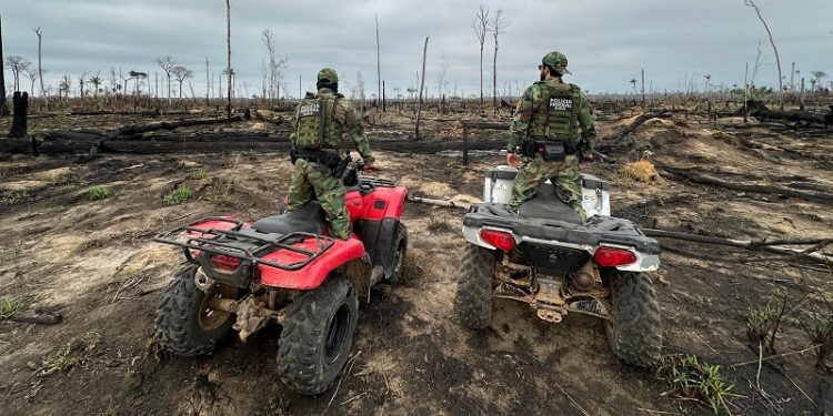 Presos suspeitos de desmatar e incendiar mais de 900 hectares de floresta nativa no AM