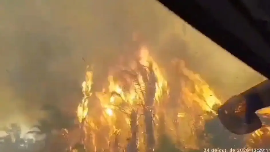 Carla Reis fala sobre incêndios criminosos e desmente fake news sobre Atalaia do Norte