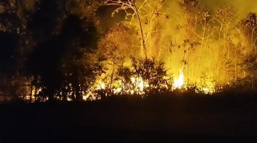 Vídeo: incêndio de grandes proporções avança em área de mata em Maués