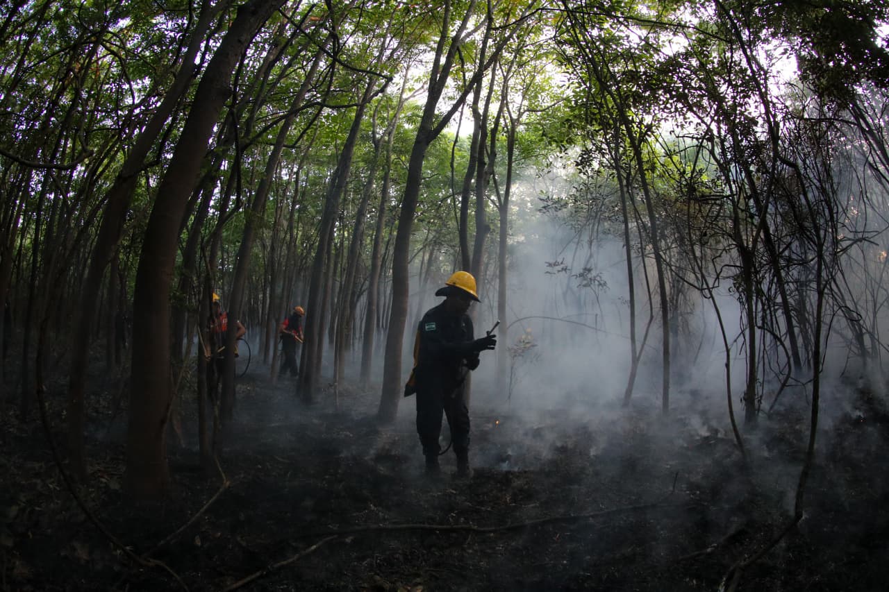 Ministério Público estabelece medidas de enfrentamento aos incêndios florestais em Jutaí