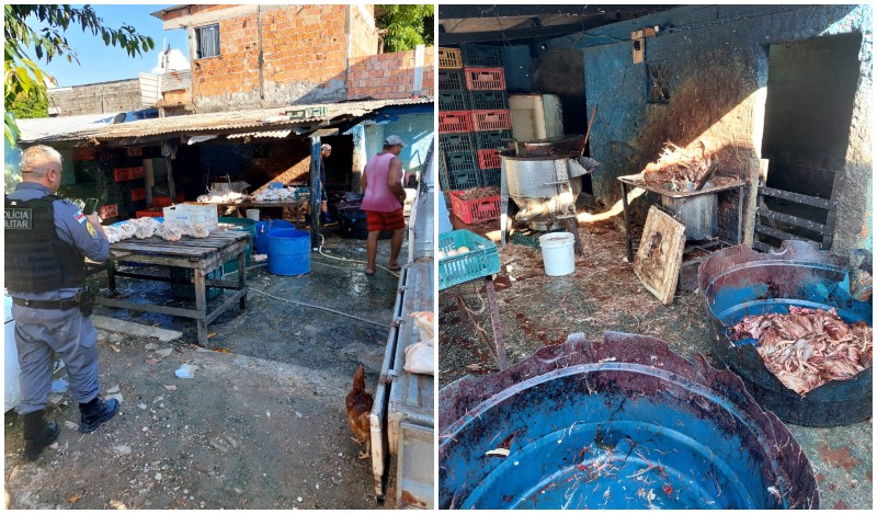 Abatedouro clandestino é desmontado no Novo Israel