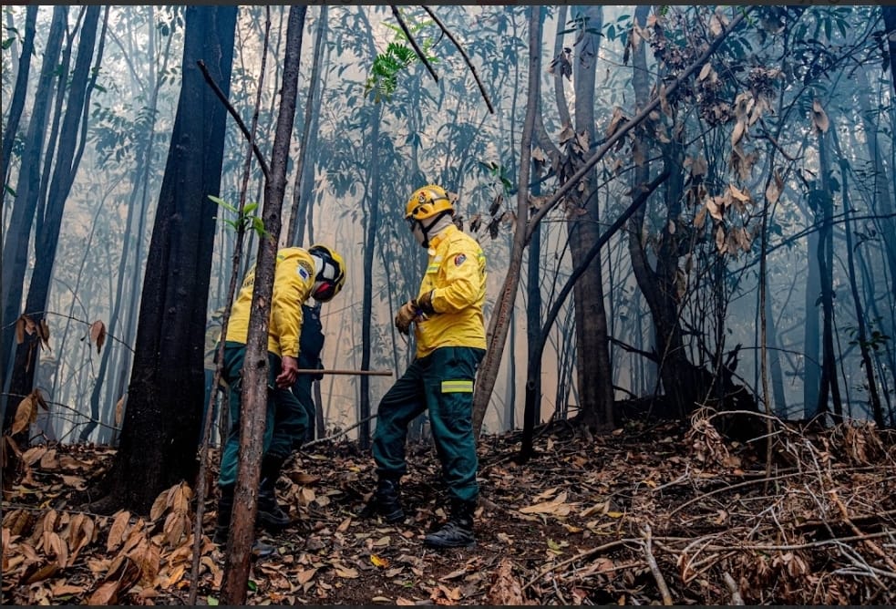Ibama aplica R$ 2 milhões em multas durante fiscalização contra incêndios no Amazonas