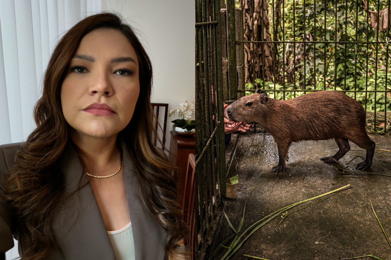 Joana Darc repudia decisão que determina retorno da capivara Filó ao Cetas do Ibama