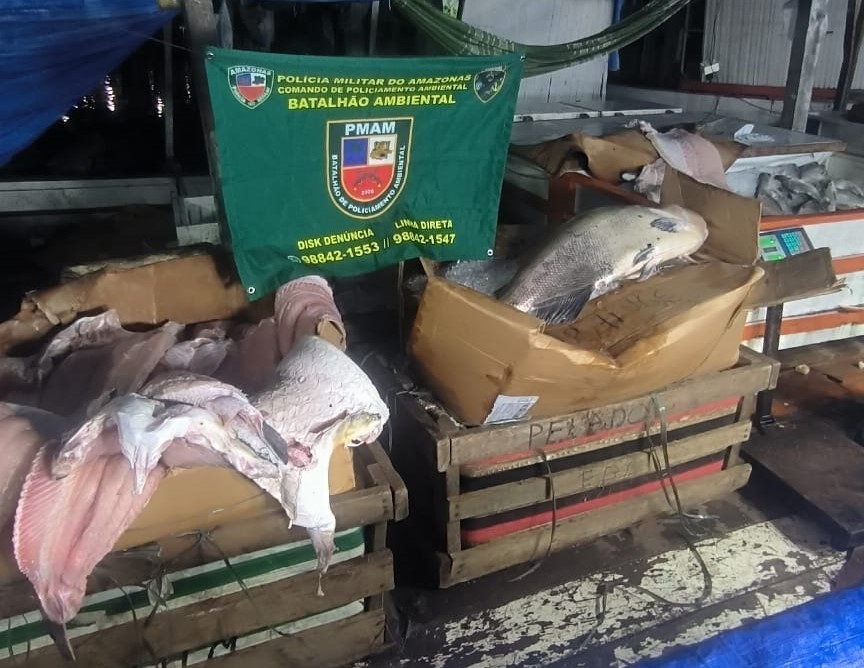 PMAM apreende mais de uma tonelada de pescado ilegal na feira da Panair