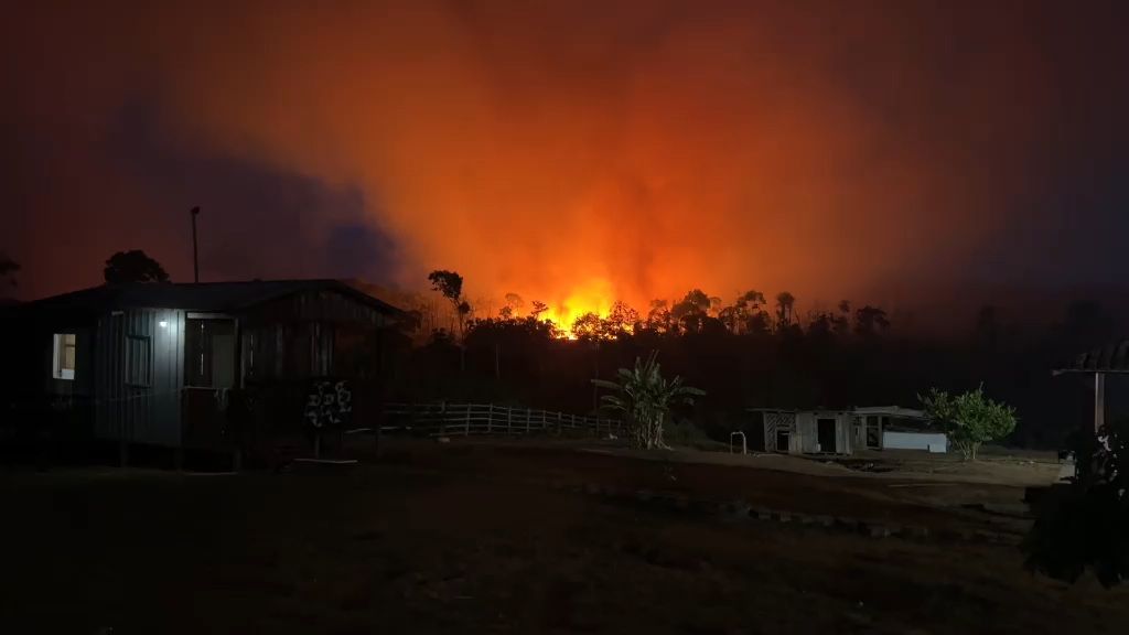 Vídeos: incêndio se aproxima de casas na estrada de Novo Airão