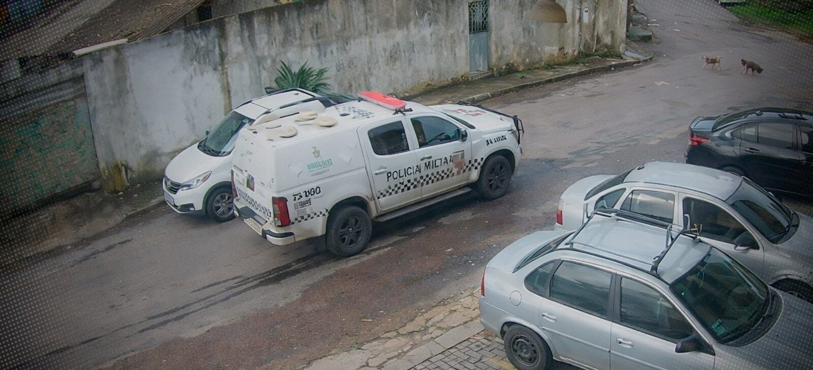 Vídeo: Justiça decreta prisão de PM que dirigia viatura e atropelou cachorros em Manaus