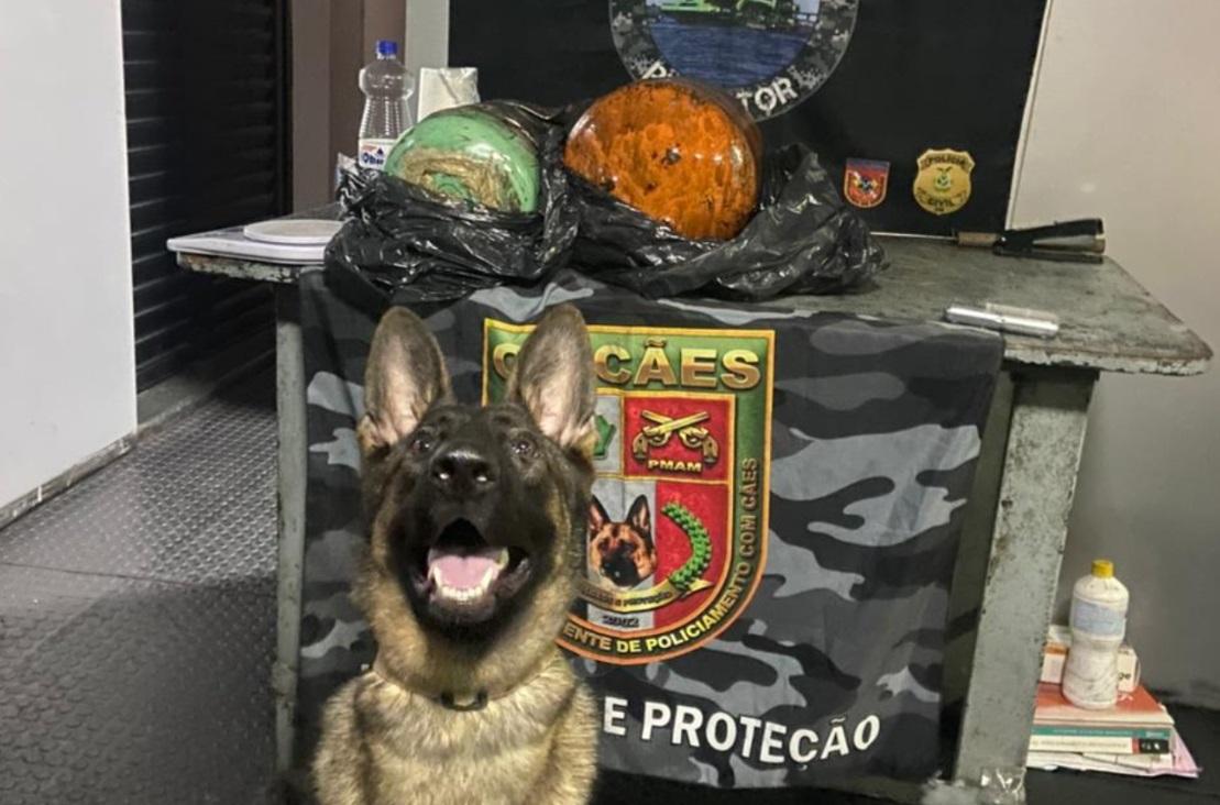 Carga com 23 kg cocaína é encontrada em cilindros frigoríficos no AM