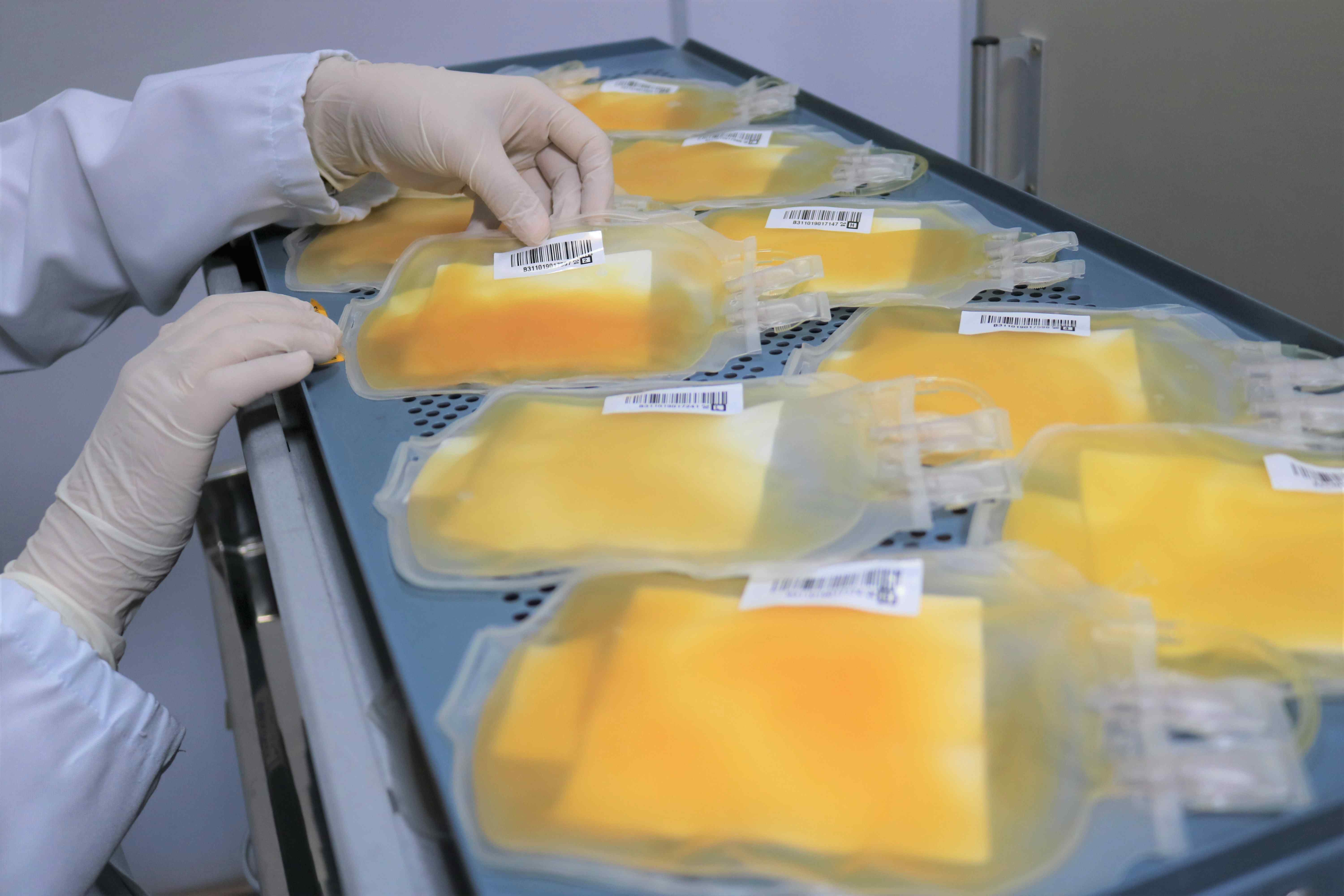 Hemoam reforça campanha para aumentar doações de plaquetas