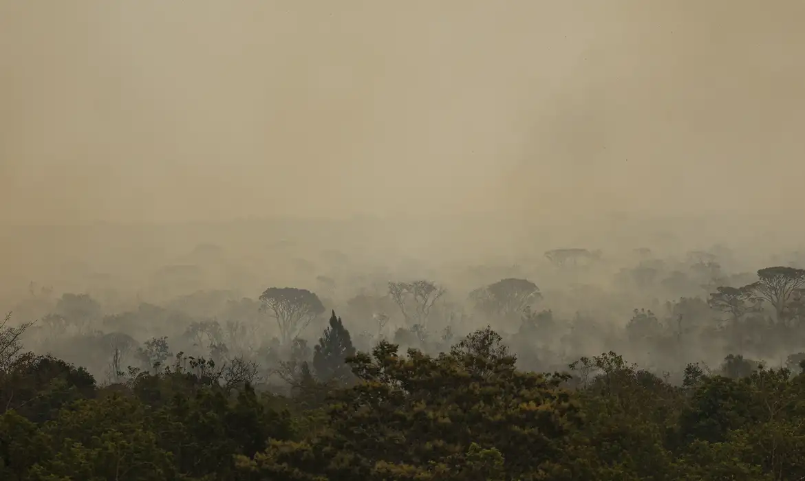 Força Nacional do SUS apoia atendimentos no Amazonas após incêndios
