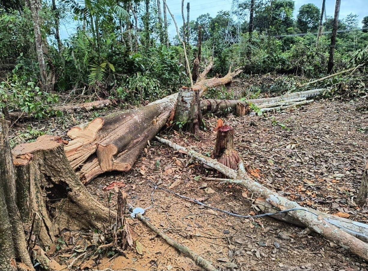 Operação desmobiliza ocupação irregular e embarga área desmatada em Itacoatiara