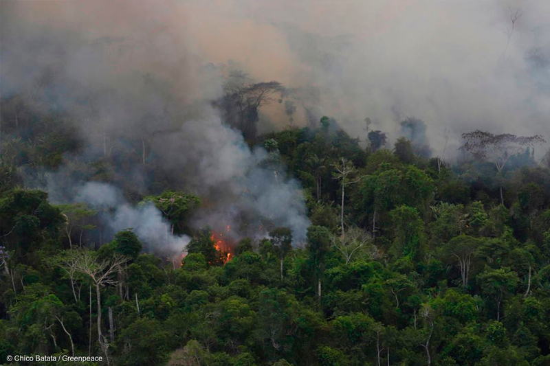 Focos de calor aumentam 282% no Amazonas em setembro