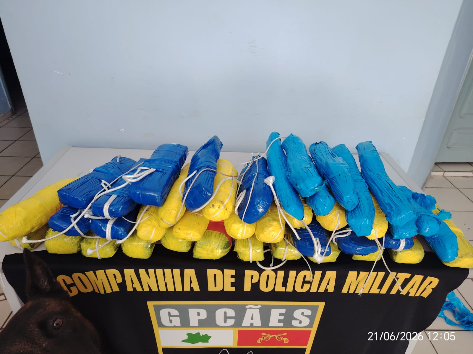 Forças de Segurança apreendem mais de 21 kg de pasta-base de cocaína