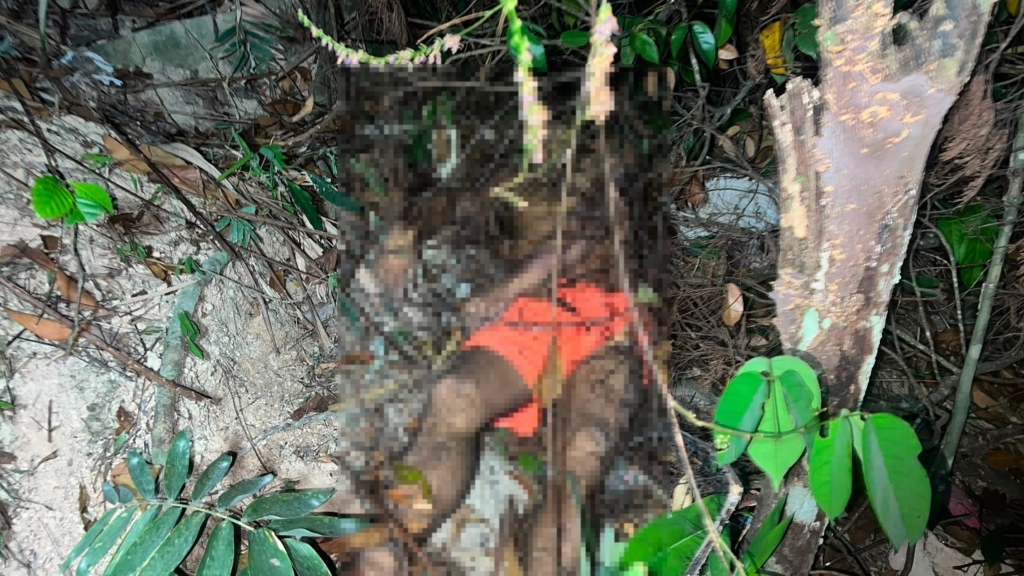 Homem é encontrado morto a tiros em área de mata na zona Norte de Manaus