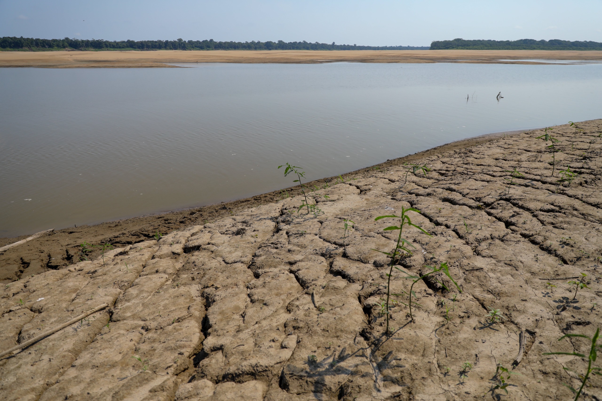 MPAM acompanha ações de prevenção aos efeitos do El Niño na seca em São Gabriel da Cachoeira