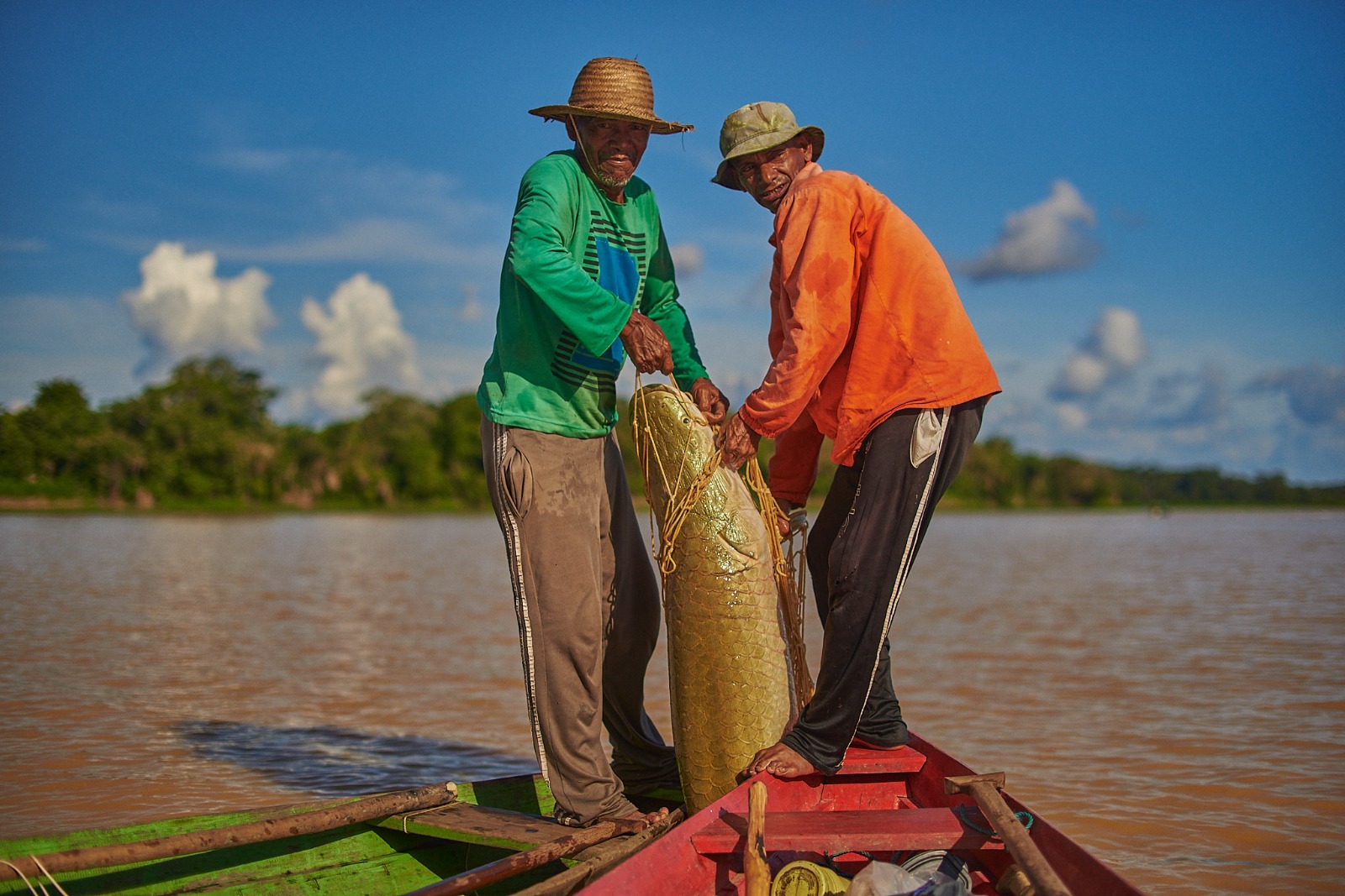 Nova edição de Feira do Pirarucu terá 6 toneladas de pescado para venda em Manaus