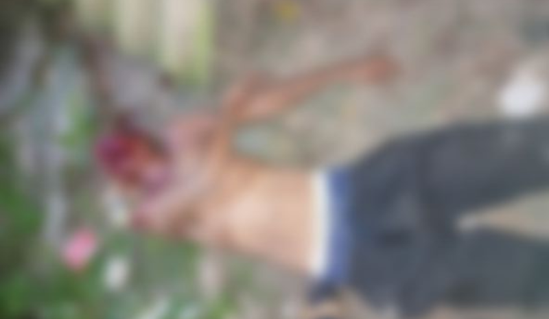 Homem é espancado até a morte na Cidade Nova