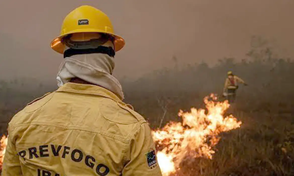 Focos de incêndio no Amazonas diminuem após ação de força-tarefa