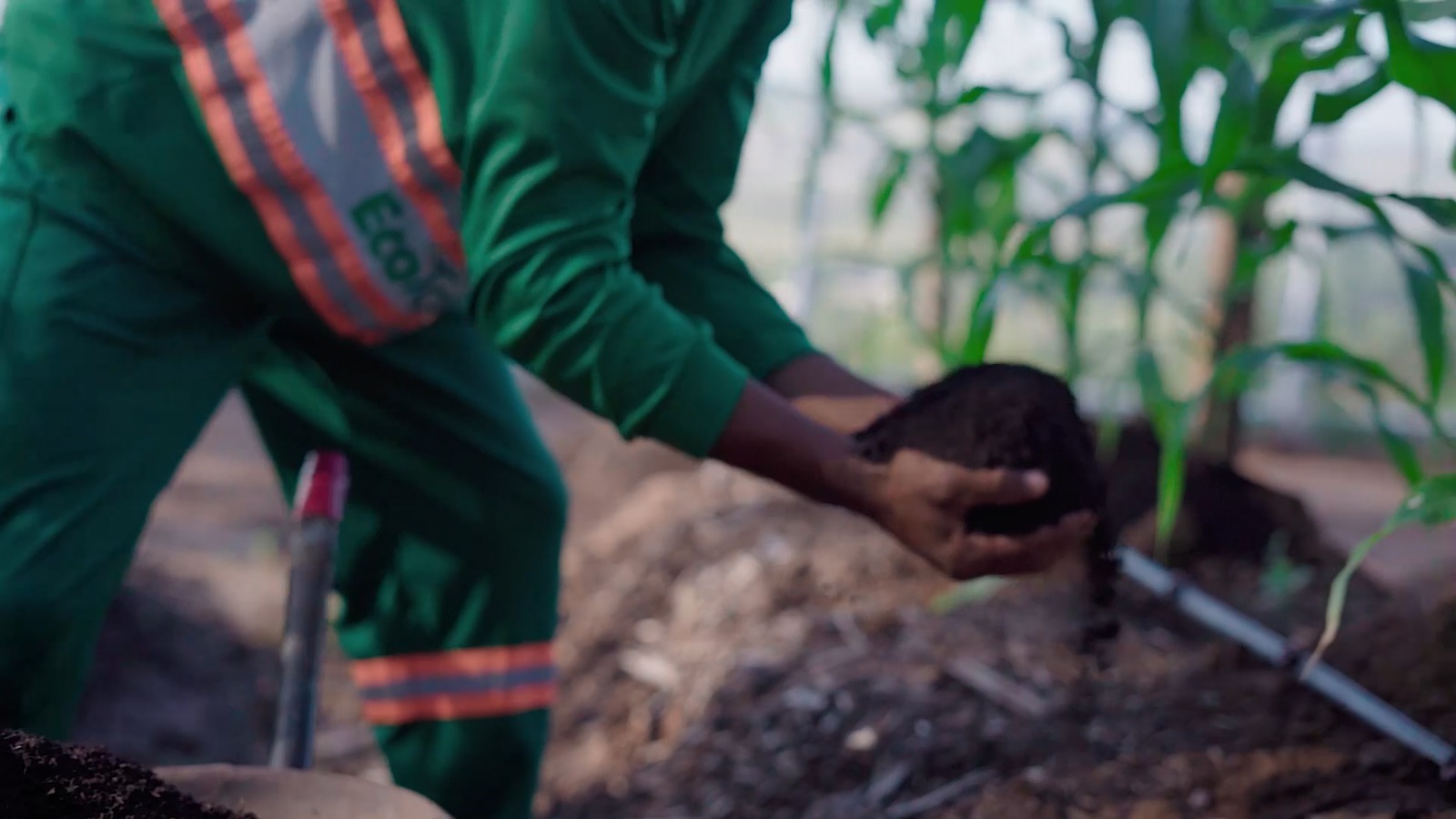 Compostagem ajuda a reaproveitar o resíduo orgânico e beneficia cidades com solução sustentável