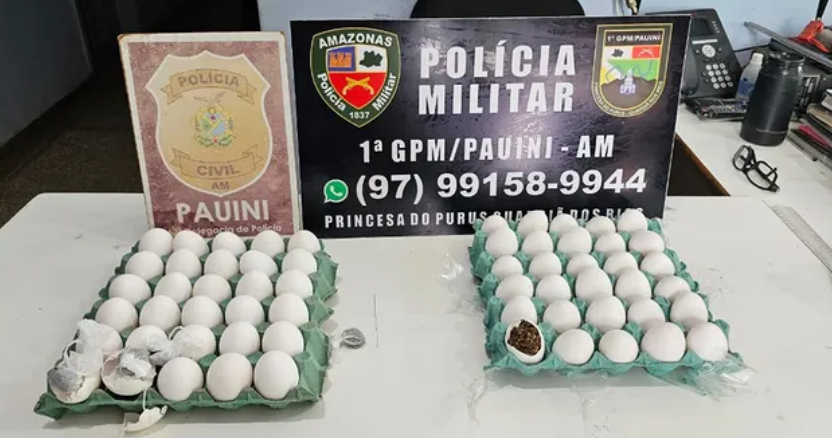 Mulher esconde maconha em ovos para tentar entrar em delegacia no interior do AM